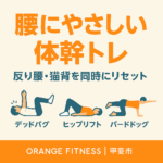 腰にやさしい 体幹トレ 反り腰 猫背 デッドバグ ヒップリフト バードドッグ