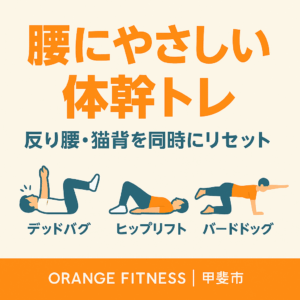 腰にやさしい 体幹トレ 反り腰 猫背 デッドバグ ヒップリフト バードドッグ