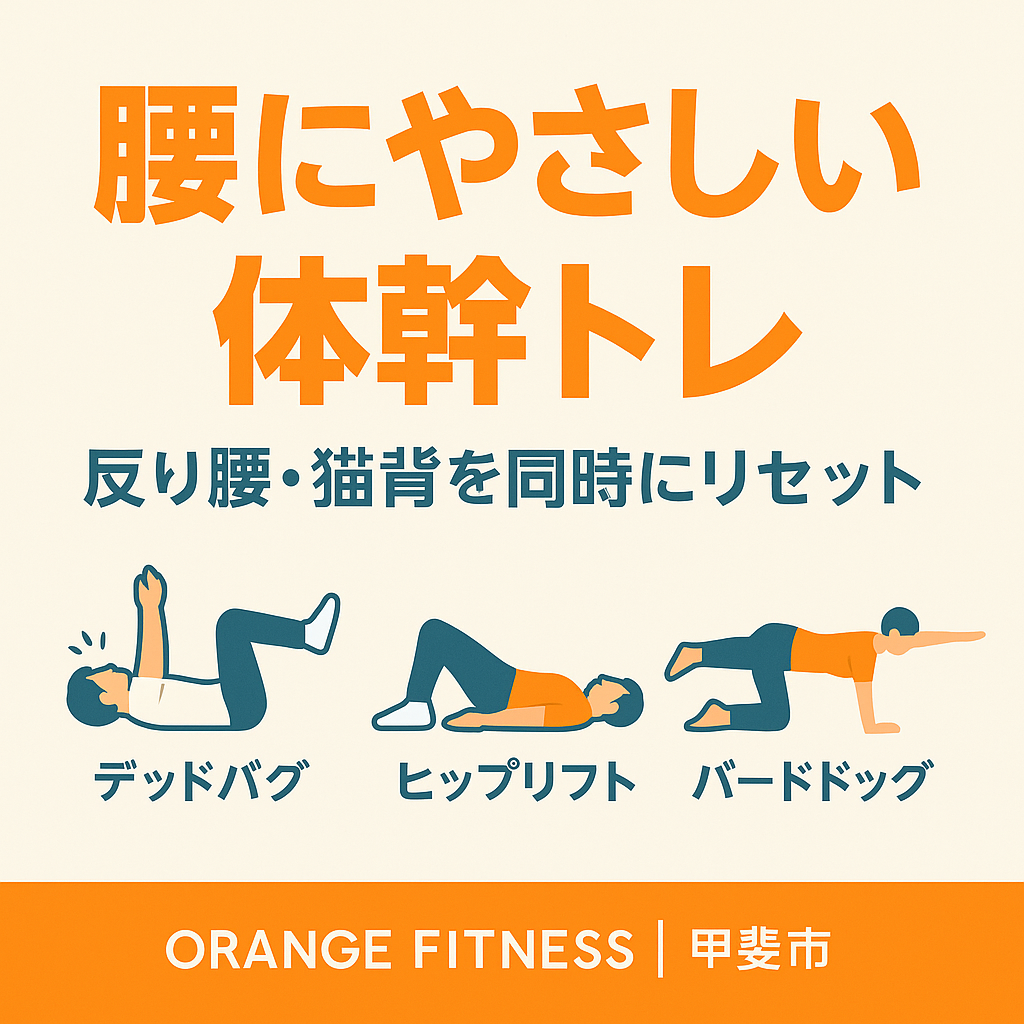 腰にやさしい 体幹トレ 反り腰 猫背 デッドバグ ヒップリフト バードドッグ