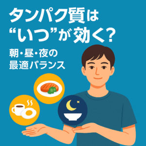 タンパク質 タイミング 朝昼夜 均等配分 プロテイン トレ前後